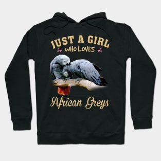Grey Feathered Friends Stylish Tee Celebrating the Beauty of Parrots Hoodie